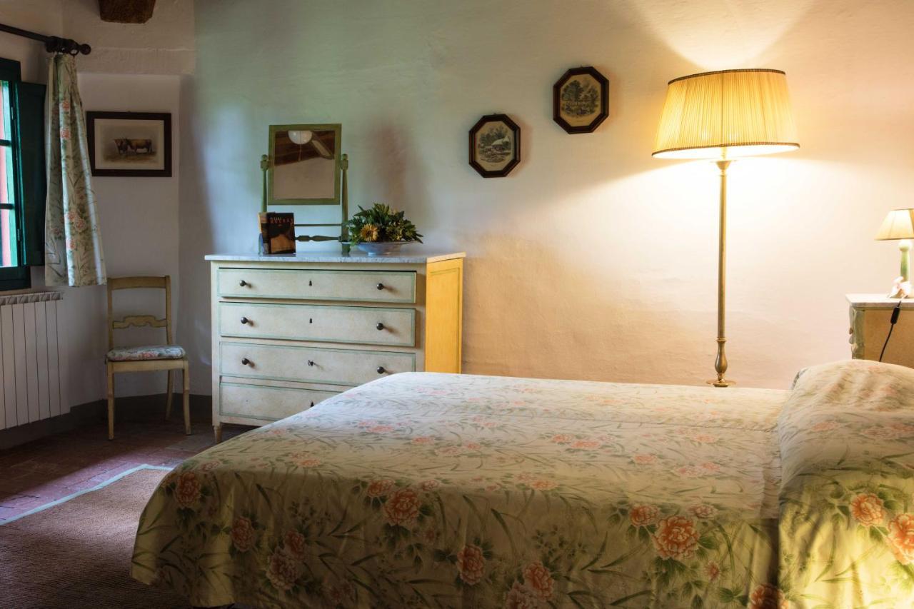 Tenuta Di Ghizzano Resort Экстерьер фото