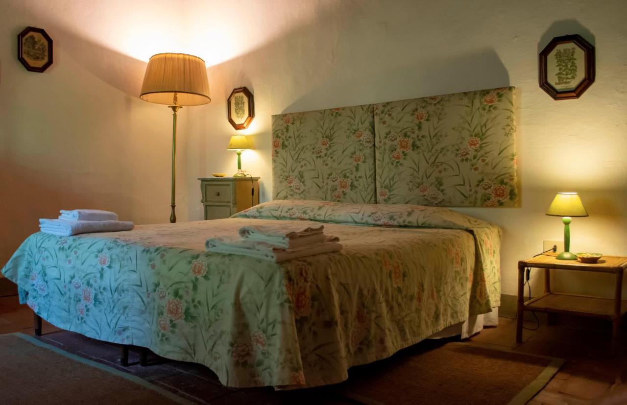Tenuta Di Ghizzano Resort Экстерьер фото