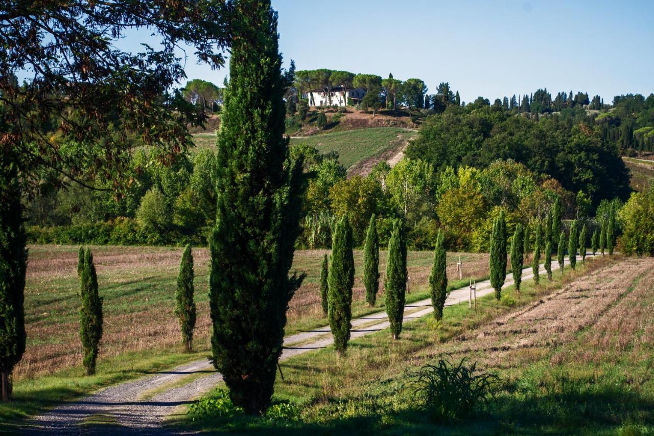 Tenuta Di Ghizzano Resort Экстерьер фото